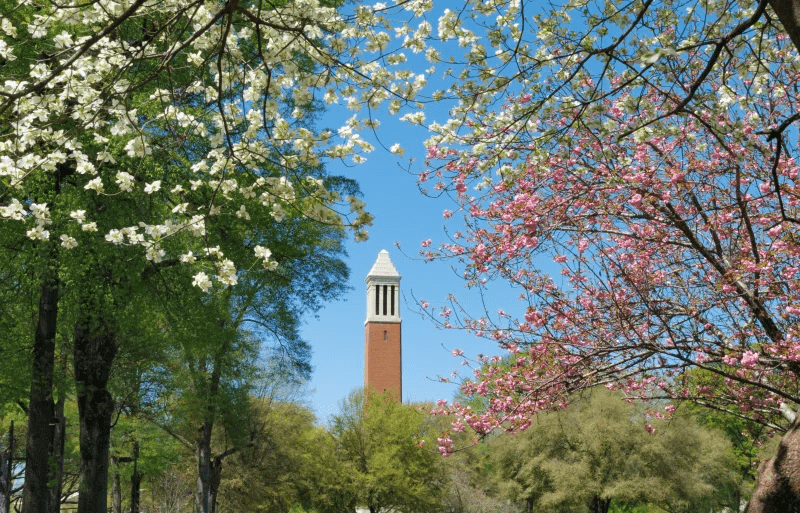 举报|北美观察丨聚众狂欢？小心举报 美大学重开面临新难题