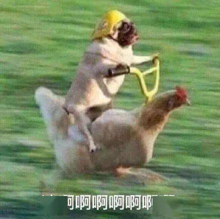 娜娜|王源终于认定欧阳娜娜,公开表白太甜了!