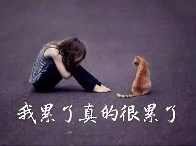 如何戒掉自作多情 8f5f830e9c50480e8a680135214e4eb7.jpeg