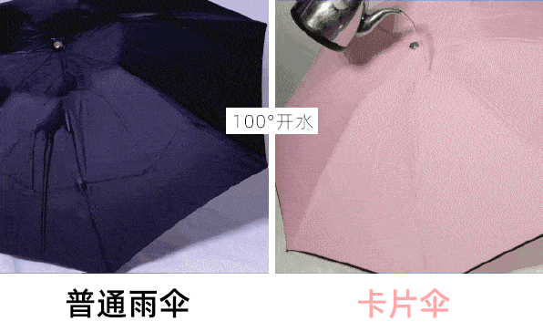 路人|撑这么漂亮的伞出门,经常被路人追着要链接!