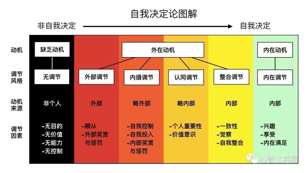 自我决定论是什么?