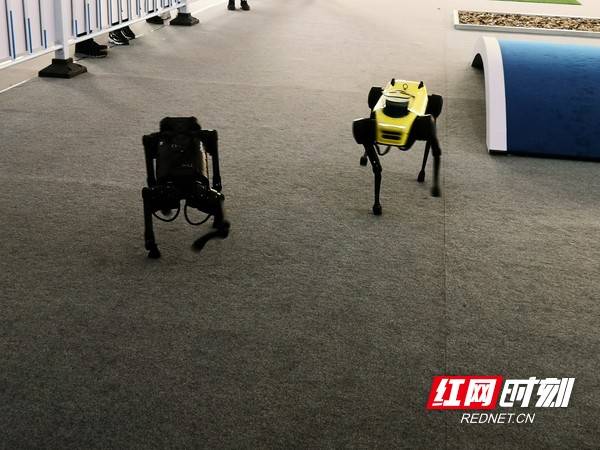 机器人|“湖南造”机器人抢眼服贸会 机器人服务正来到你身边