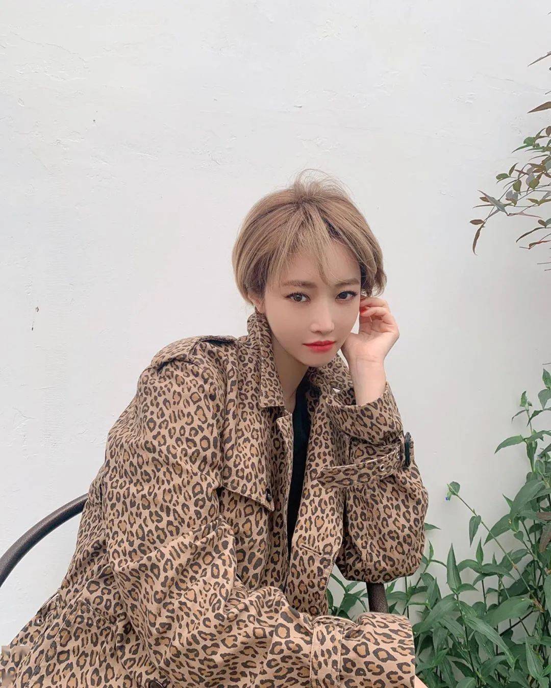 发型|解锁多款清凉短发，这是夏日必不可少的仪式感！