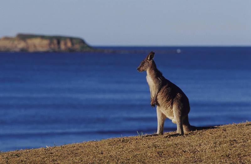 2020年gdp成分_2020年中国gdp(3)