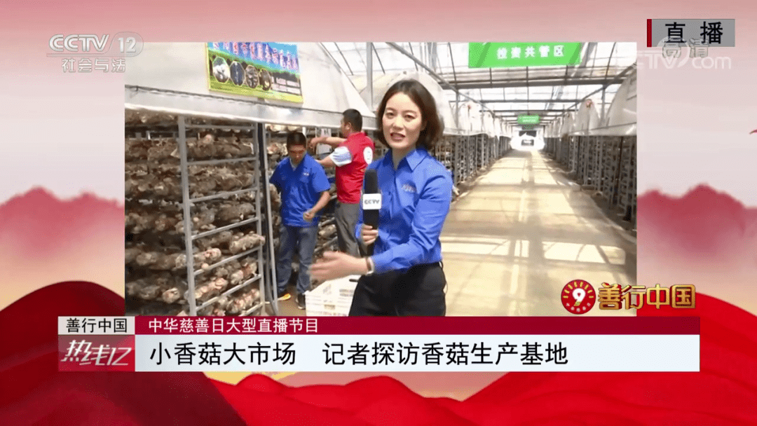【Bsport体育官方网站】
9月5日 西峡香菇登上央视“善行中国”特别节目 !