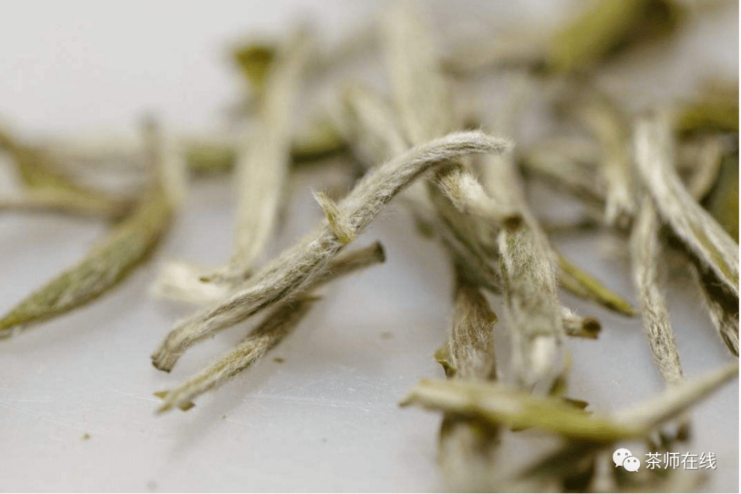 营养|能保留的更多营养怎么泡白茶