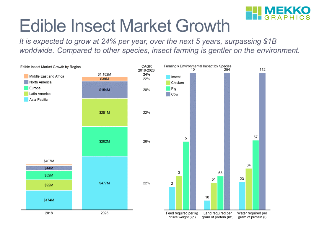 昆虫|去掉头嘎嘣脆的昆虫，会成为下一个“植物肉”吗？