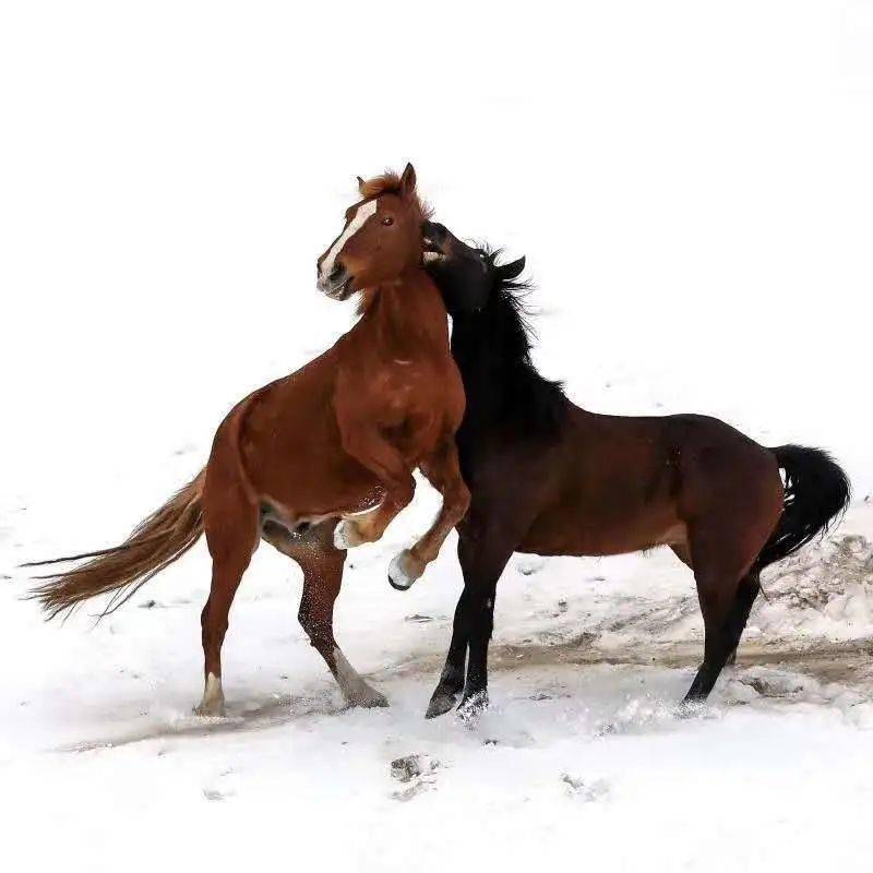 8b31e1c9bdf94d40925d62b05546a5e1.jpeg