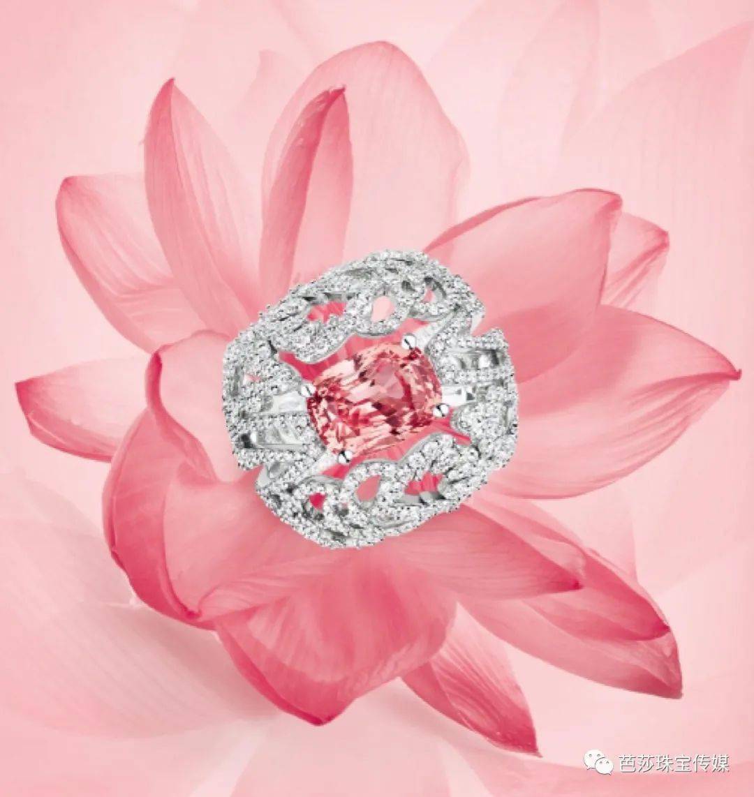 效应|在蓝宝石月戴个不一样的蓝宝石吧！