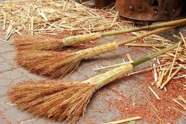 崇明|有一样自然赐予的好物超好吃~崇明这个农庄