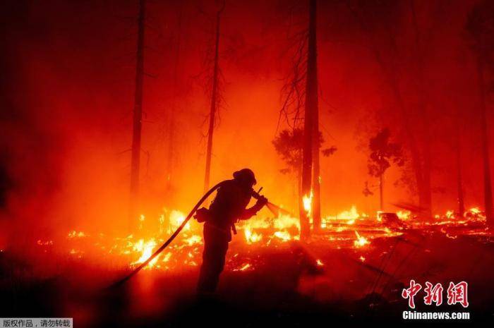 美加州山火肆虐已致8人丧生逾2万英亩土地被烧 大火