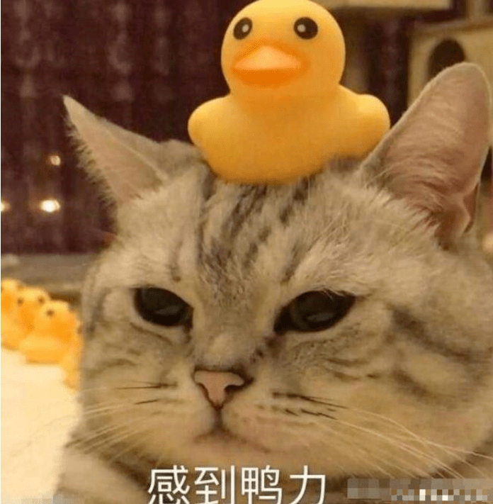 b241ab9d42604e35a46feb5c8e9996da.png