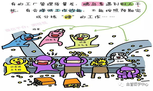 胰岛素|得糖尿病是因为糖吃多了吗？