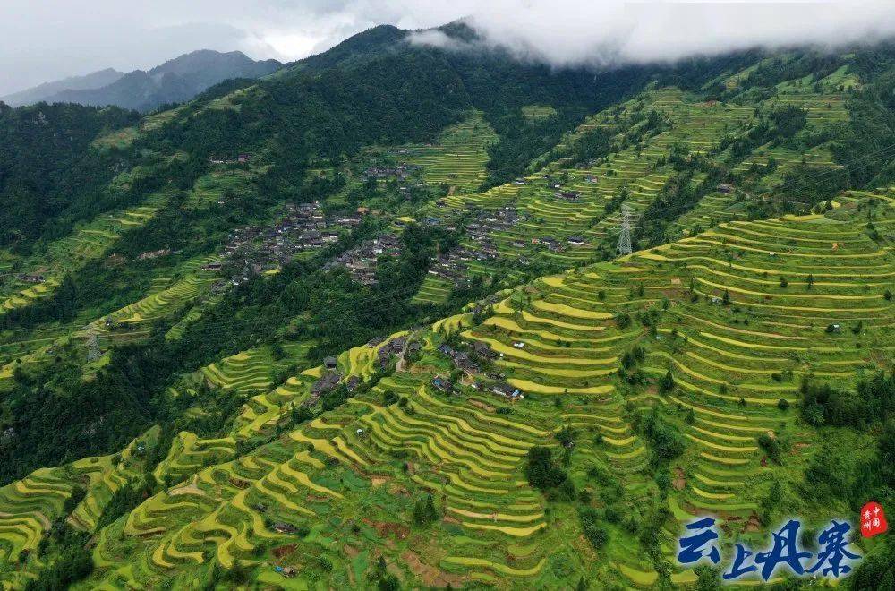 丹寨县排调镇麻鸟村:秋日苗寨梯田美