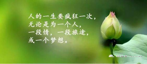 如何让自己生活快乐 604e950c3f6d4be880f2e26615e1bf26.jpeg