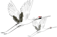 崛起|【佳和·中心店】国潮崛起!这些品牌创意颠覆你的想象!