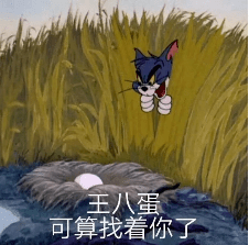 王八蛋 可算找着你了