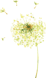 回头率|【君君魔法课程】素人改造——穿出明星范儿，赚足回头率