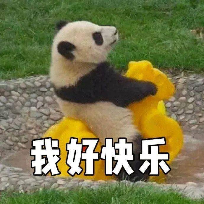 护肤|经常挤痘痘的女生，都是这个下场！（真人实测）