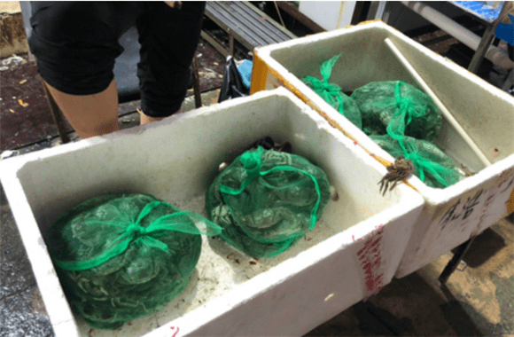 价格|济南中秋节前螃蟹市场货紧俏，价格还算适中