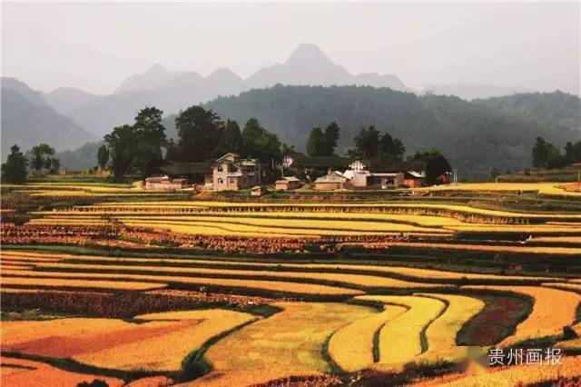 关注|这些地方拟入选第二批全省乡村旅游重点村名录!有你家乡吗?