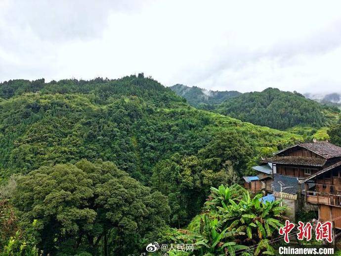 高排村|5年飞出36只“金凤凰”！贫困村最好的建筑是学校