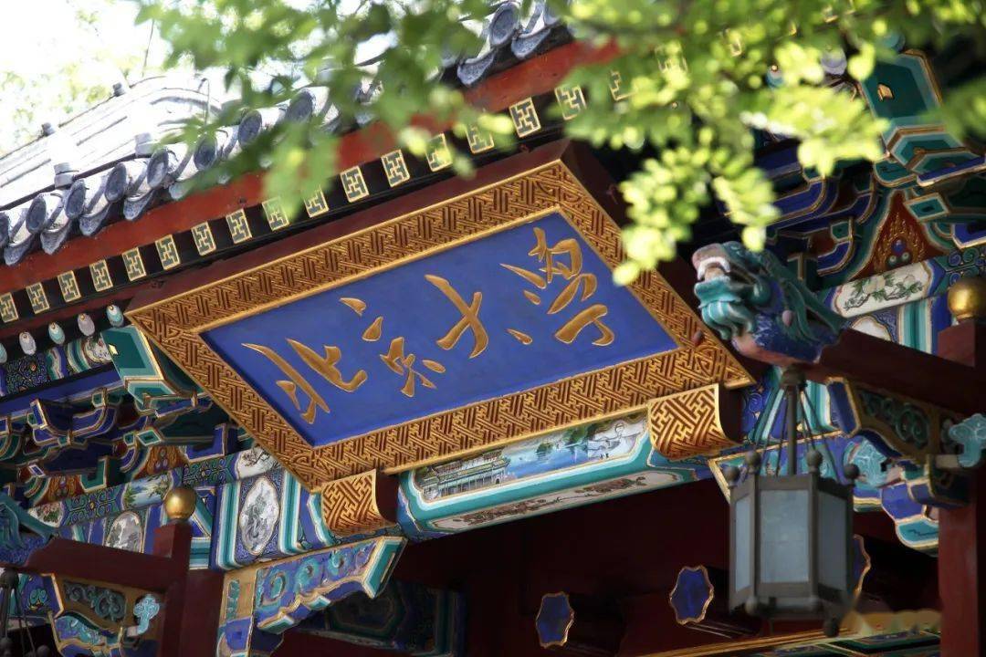 数学|没有一名新生经历高三北大数学英才班