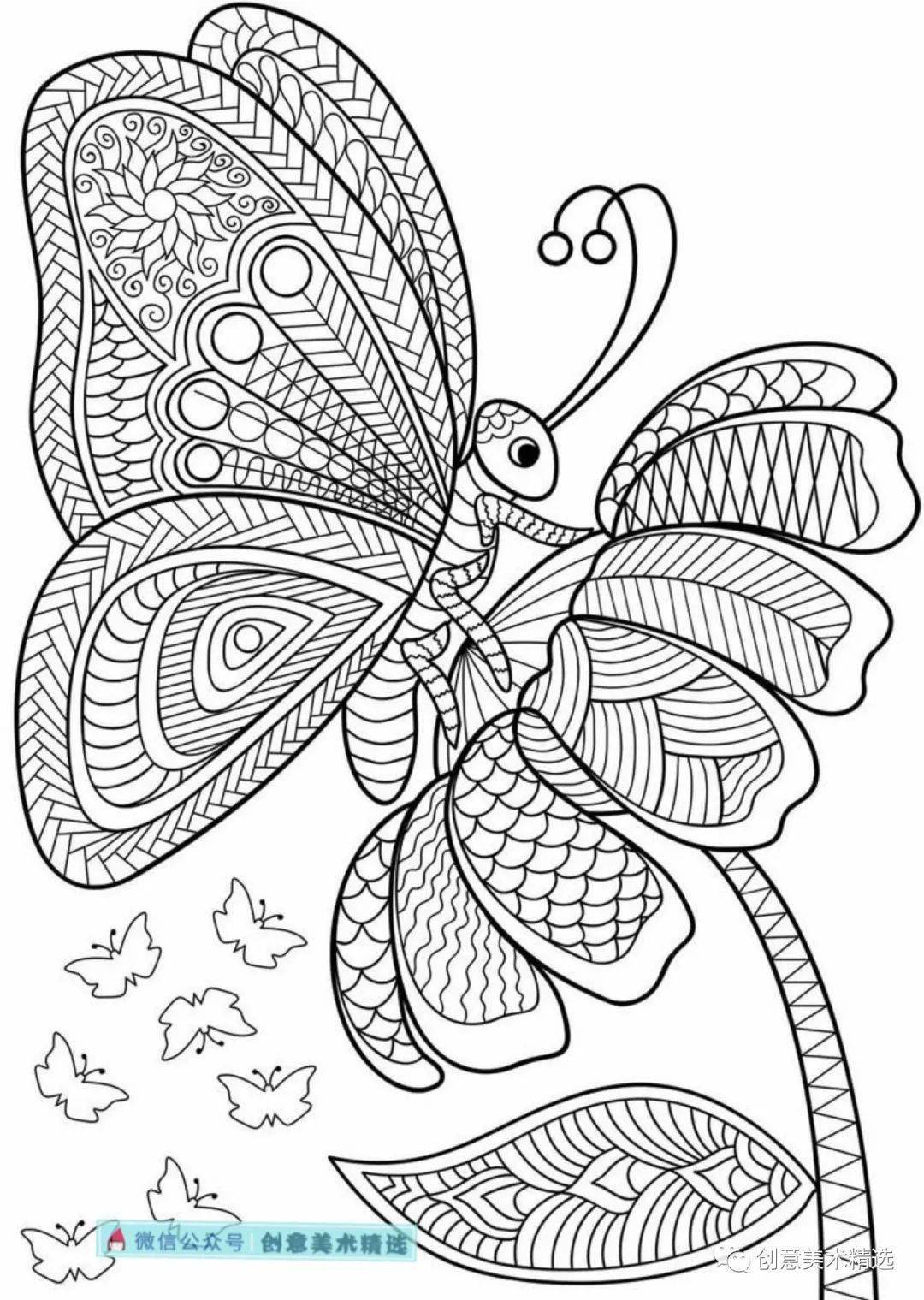 黑白线描临摹素材漂亮的蝴蝶主题线描装饰画