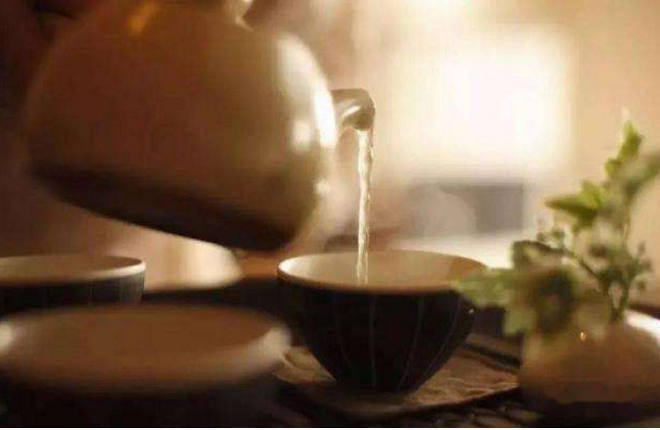 长寿老人谈如何喝茶