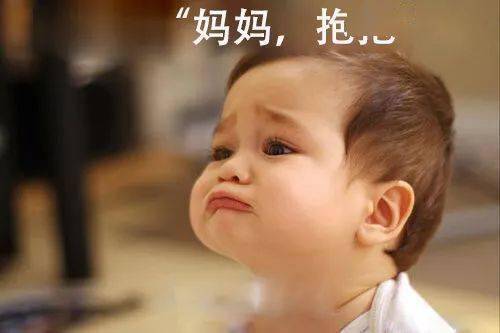 派系|你家归属哪一派？中国宝宝分四大派系