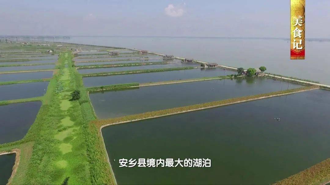 安乡县人口_安乡县人口有多少人口