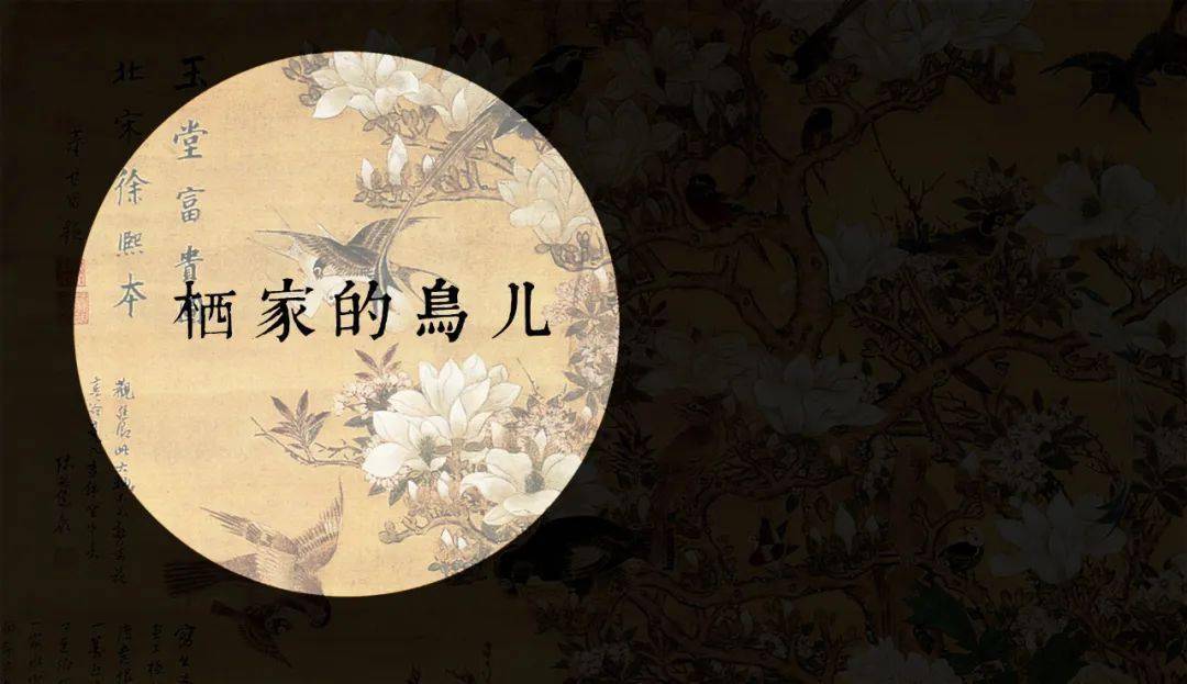 设计的|美到窒息!这位中国姑娘设计的珠宝,刷爆了朋友圈!