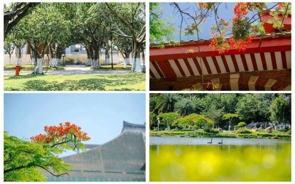 厦大|解锁厦大开学惊喜！快来点开你的定制“盲盒”！