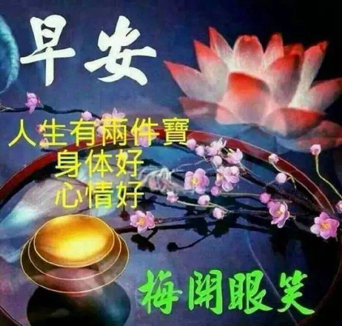 暖心的早上好问候语祝福短信,早安鲜花图片带字