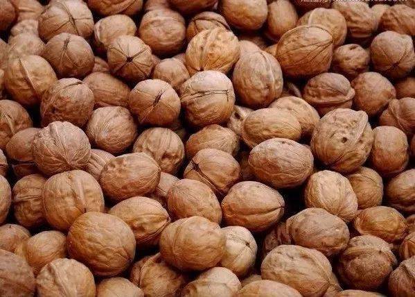 怎样晒柿子饼快 98e20c150ead4e1e83c027a22da80fdf.jpeg