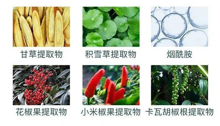 痘痘|夏天变黑长痘不可怕，赶紧用它，让你的皮肤恢复婴儿的光滑，痘痘，黑头，螨虫全都消失了