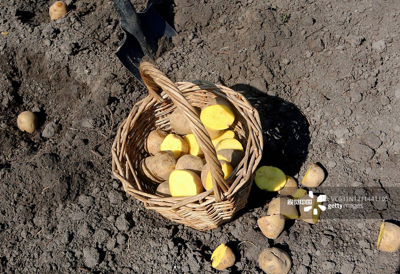 盘点|辣条专业，小龙虾学院……盘点那些你不知道的专业！