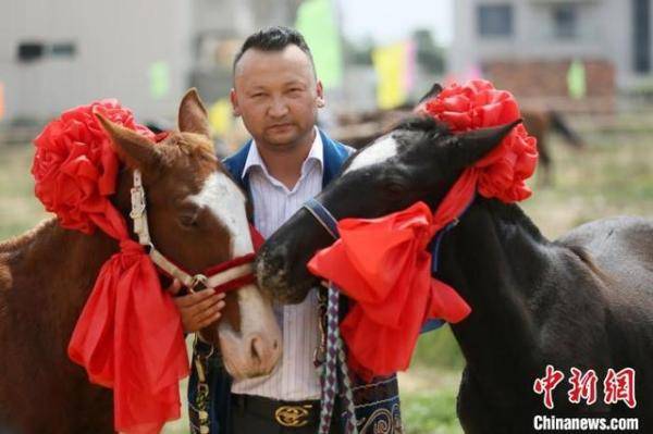 天马|新疆“天马”赠福建救人马主