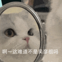 每日一句能量往事依稀浑似梦都随风雨到心头