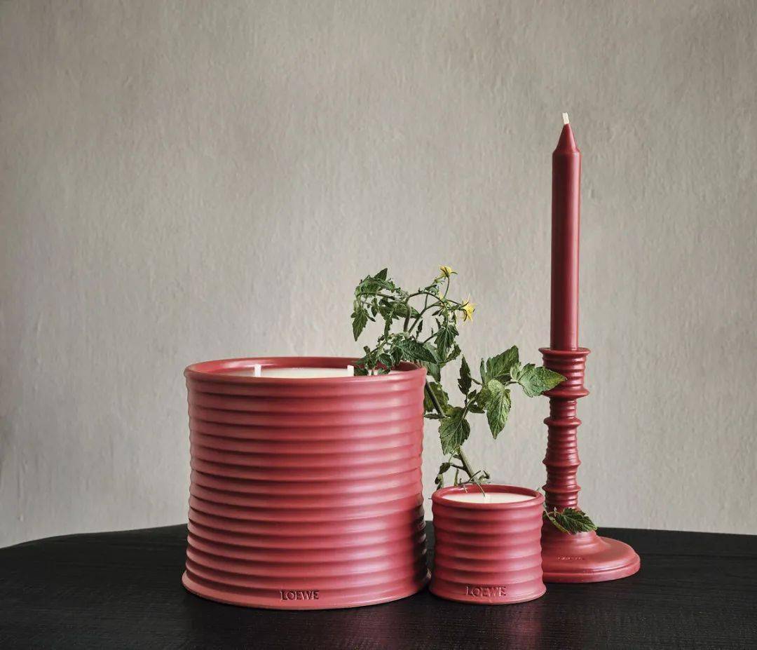 王一|香菜味的新品香水?怕是只有王一博会喜欢....