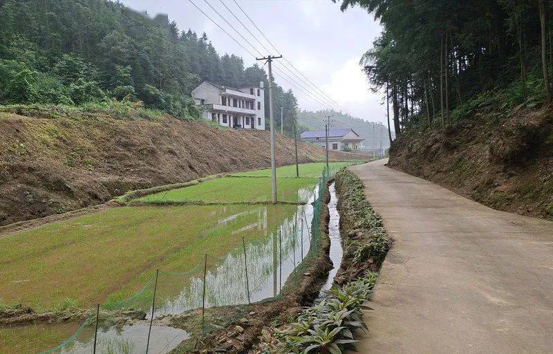 鲊埠乡人口_鱼鲊乡古树山庄温泉