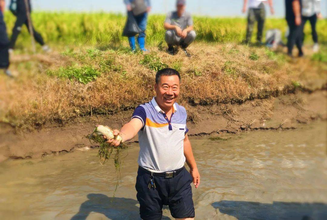 关注蟹肥鱼鲜稻米香新型农场迸发新生机
