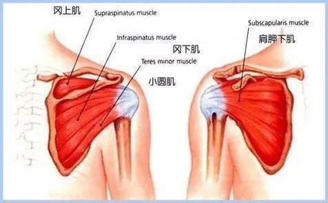 女生|为什么有的女生不打扮，看上去也很气质？