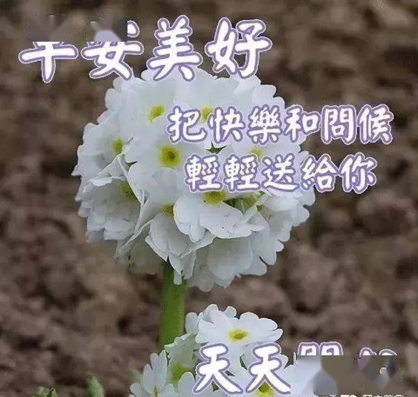 早晨问候好友的说说短信 祝福老友们早上好的图片 优美早安祝福图片