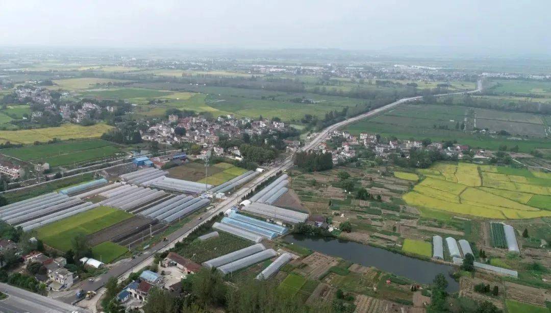 中垾镇GDP_杏坛镇gdp数据图