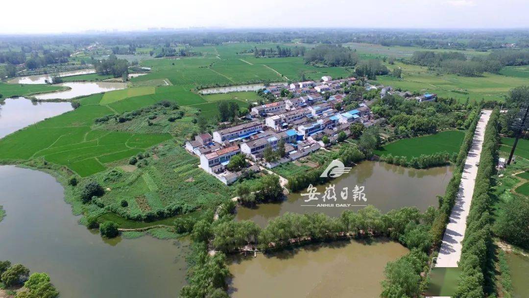 合肥市巢湖市烔炀镇凤凰村池州市东至县香隅镇漕东村安庆市桐城市黄甲