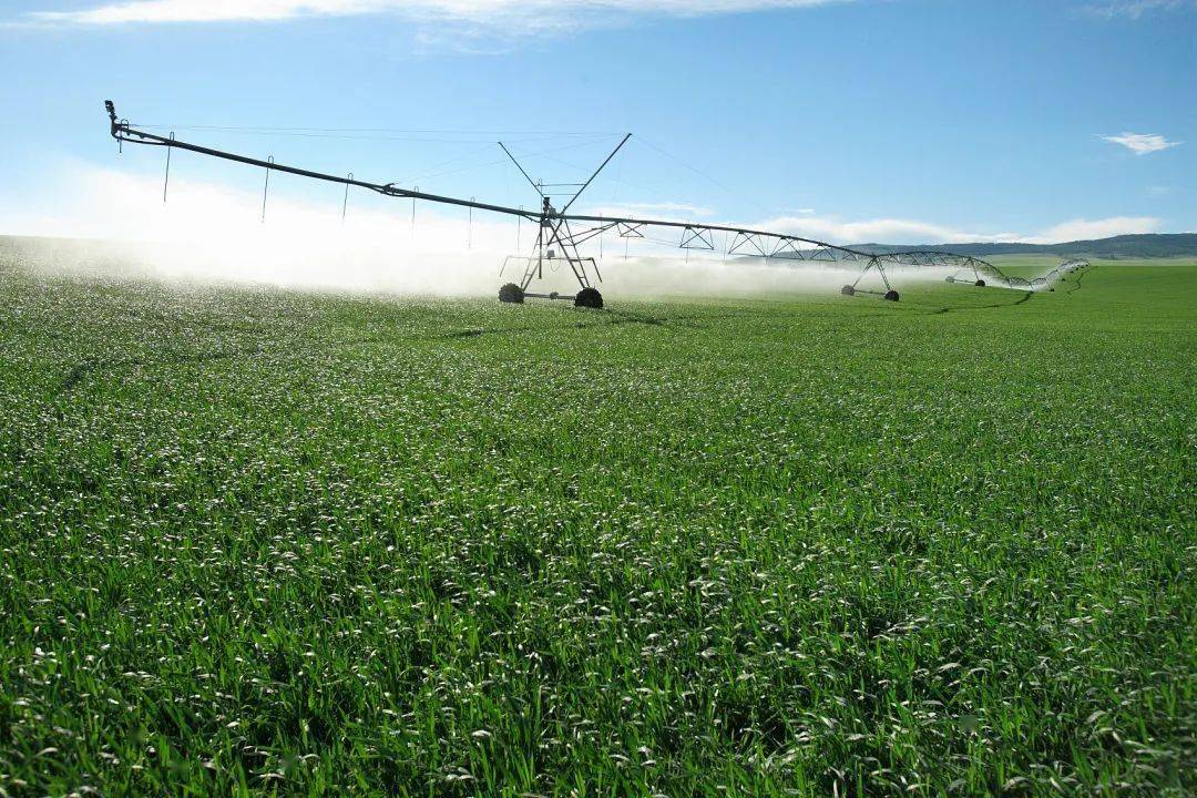 农村gdp怎么算出来的_农村别墅(2)