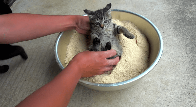 a77d3113e35144469a0c0ae3192a9d33.png