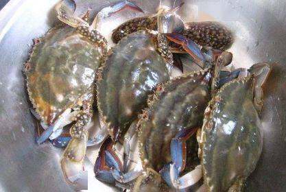 梭子蟹|螃蟹更鲜嫩不掉腿告诉大家：螃蟹蒸几分钟？冷水还是热水入锅？记住这4点