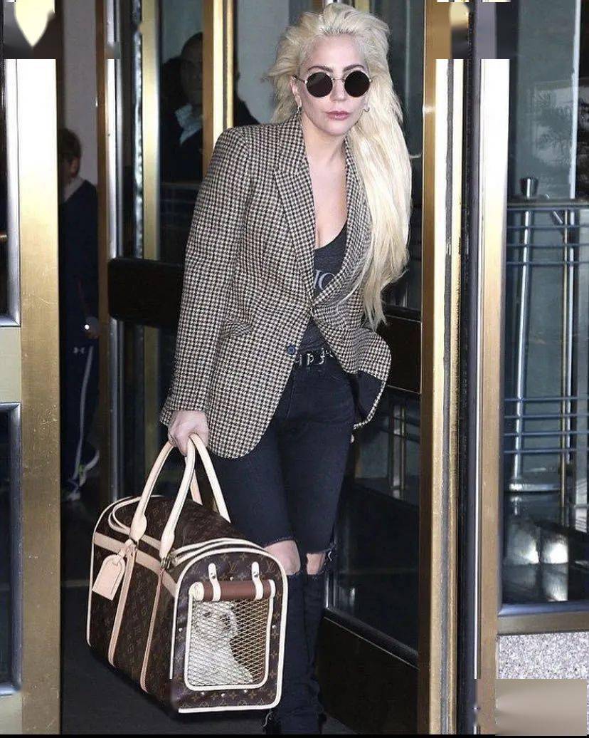 宠物|萌宠时尚｜毛孩子们时髦起来一点也不输主人！